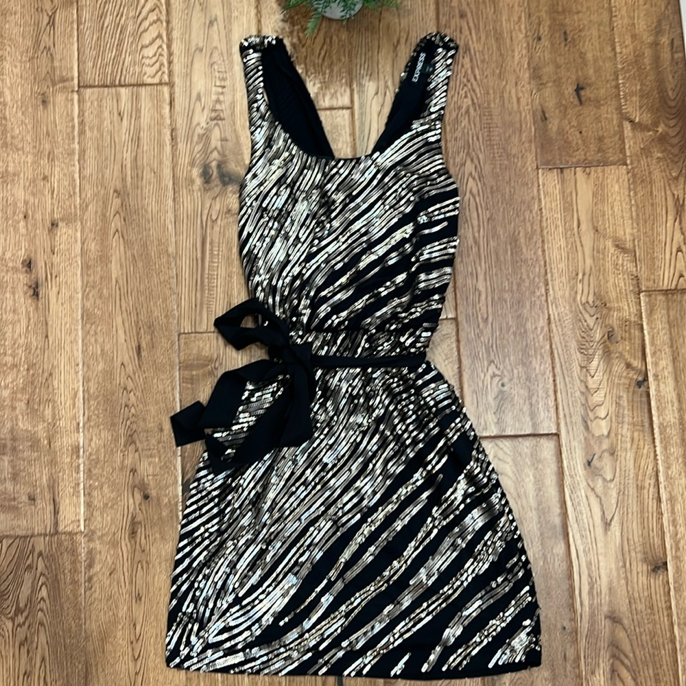 EXPRESS Sequin Party Dress Size XS